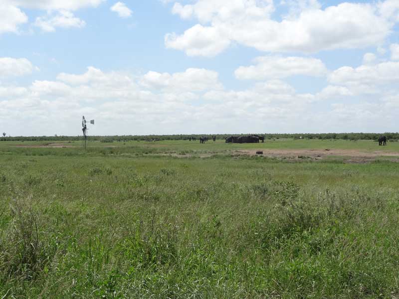 Approaching the Mooiplaas ‘grassy island’. This view faces east.